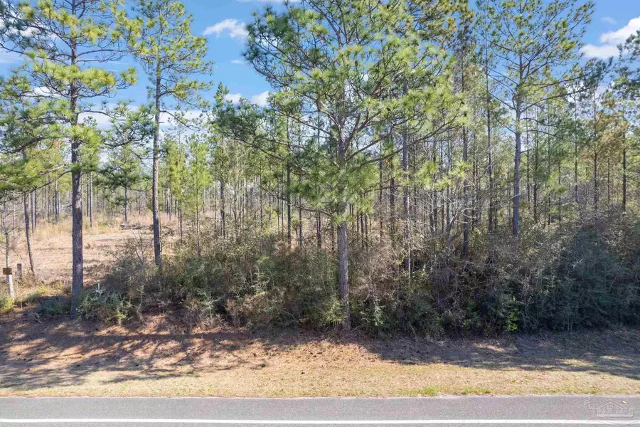 Lot 7 Hwy 89, Jay, FL 32565