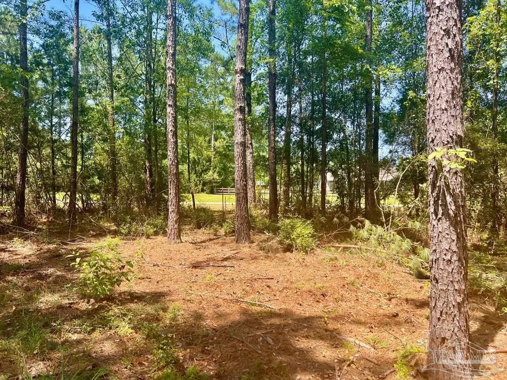 Jay, FL 32565,Lot 3-RS Hwy 182