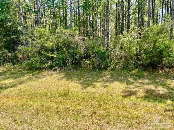 Lot 5-RS Hwy 182, Jay, FL 32565