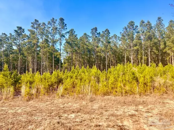 Jay, FL 32565,Lot 13-RS Hwy 182