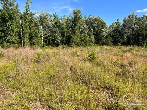 Molino, FL 32577,Lot 3-B Cotton Lake Rd