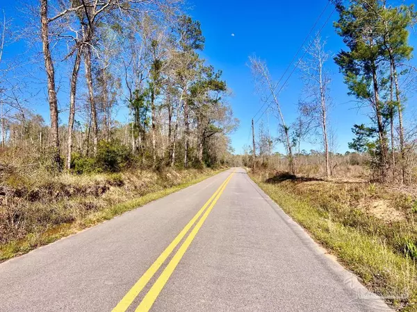 Molino, FL 32577,Lot 4-B Cotton Lake Rd