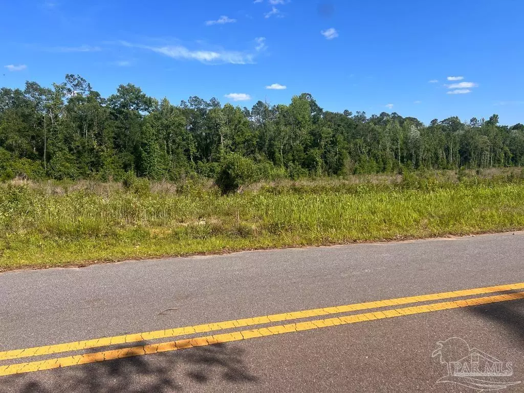 Molino, FL 32577,Lot 6-B Cotton Lake Rd