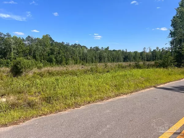 Molino, FL 32577,Lot 6-B Cotton Lake Rd