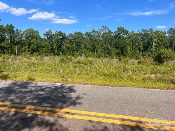 Molino, FL 32577,Lot 6-B Cotton Lake Rd