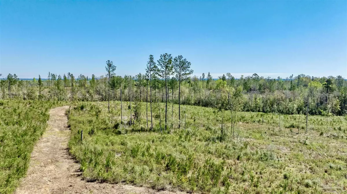 Molino, FL 32577,Lot 3-C Cotton Lake Rd