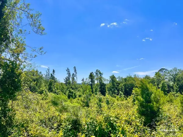 Molino, FL 32577,Lot 7-C Cotton Lake Rd
