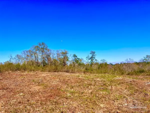 Molino, FL 32577,Lot 9-C Cotton Lake Rd