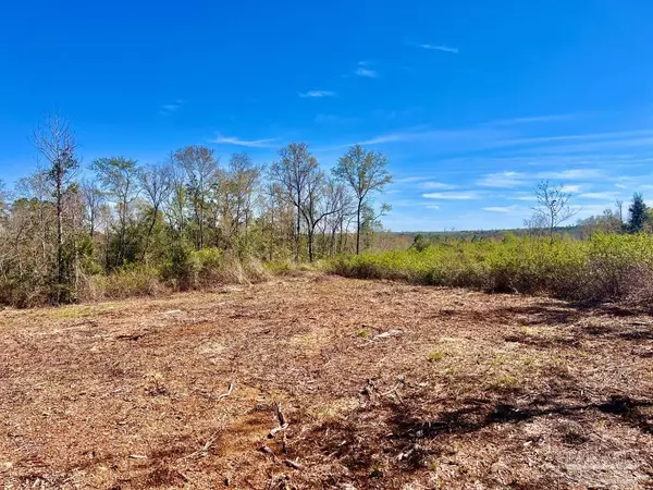 Molino, FL 32577,Lot 10-C Cotton Lake Rd