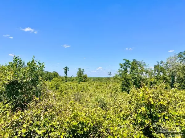 Molino, FL 32577,Lot 11-C Cotton Lake Rd