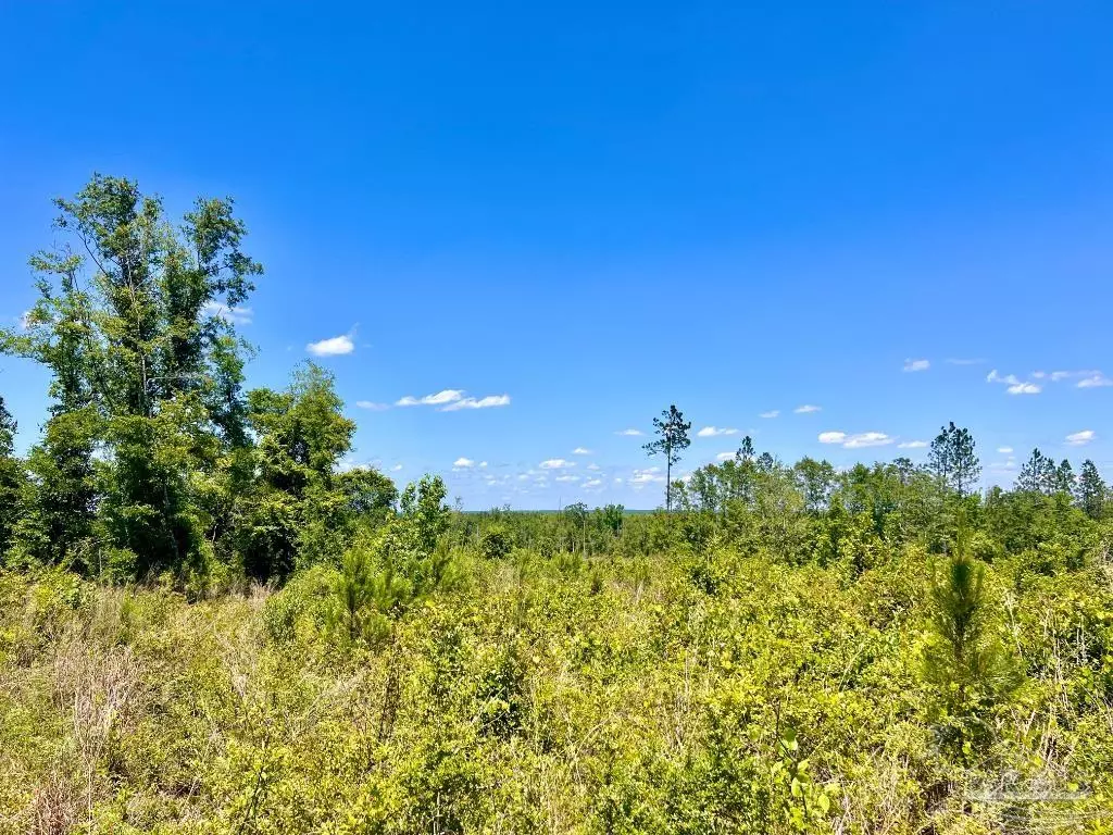 Molino, FL 32577,Lot 12-C Cotton Lake Rd