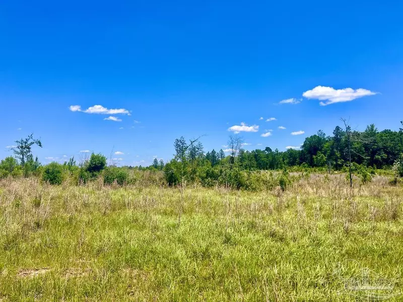 Lot 13-C Cotton Lake Rd, Molino, FL 32577