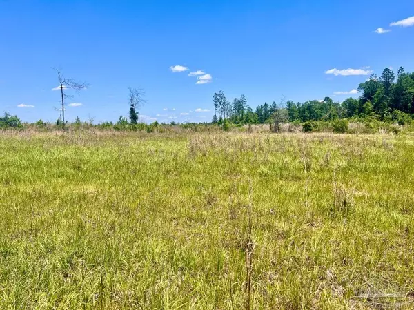 Molino, FL 32577,Lot 13-C Cotton Lake Rd
