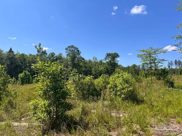 Molino, FL 32577,Lot 14-C Hwy 29