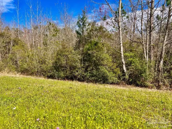 Molino, FL 32577,Lot 15-C Hwy 29