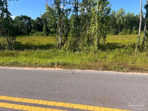 Molino, FL 32577,Lot 16-C Hwy 29