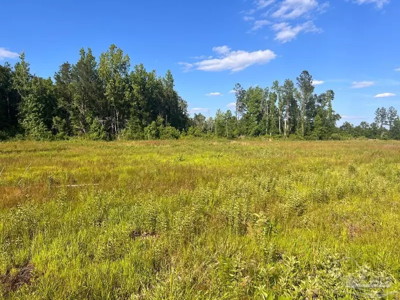 Lot 16-C Hwy 29, Molino, FL 32577