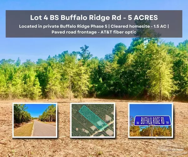 Lot 4 BS Buffalo Ridge Rd, Pace, FL 32571