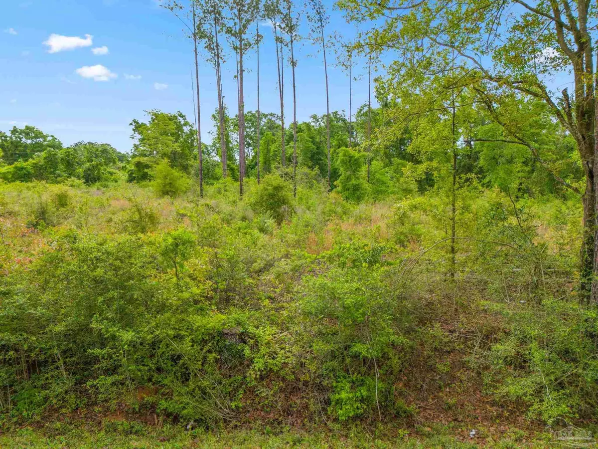 Jay, FL 32565,Lot 28 Mineral Springs Rd