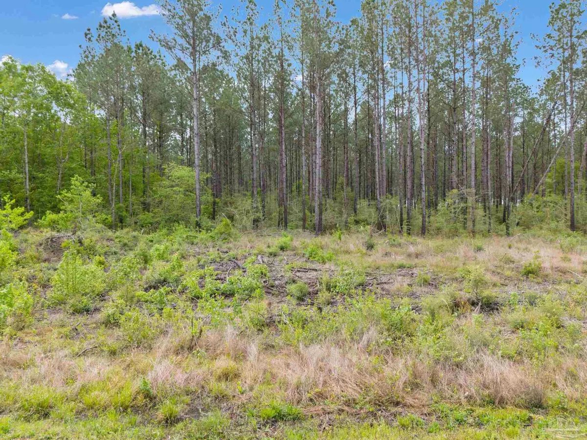 Jay, FL 32565,Lot 19 Mineral Springs Rd