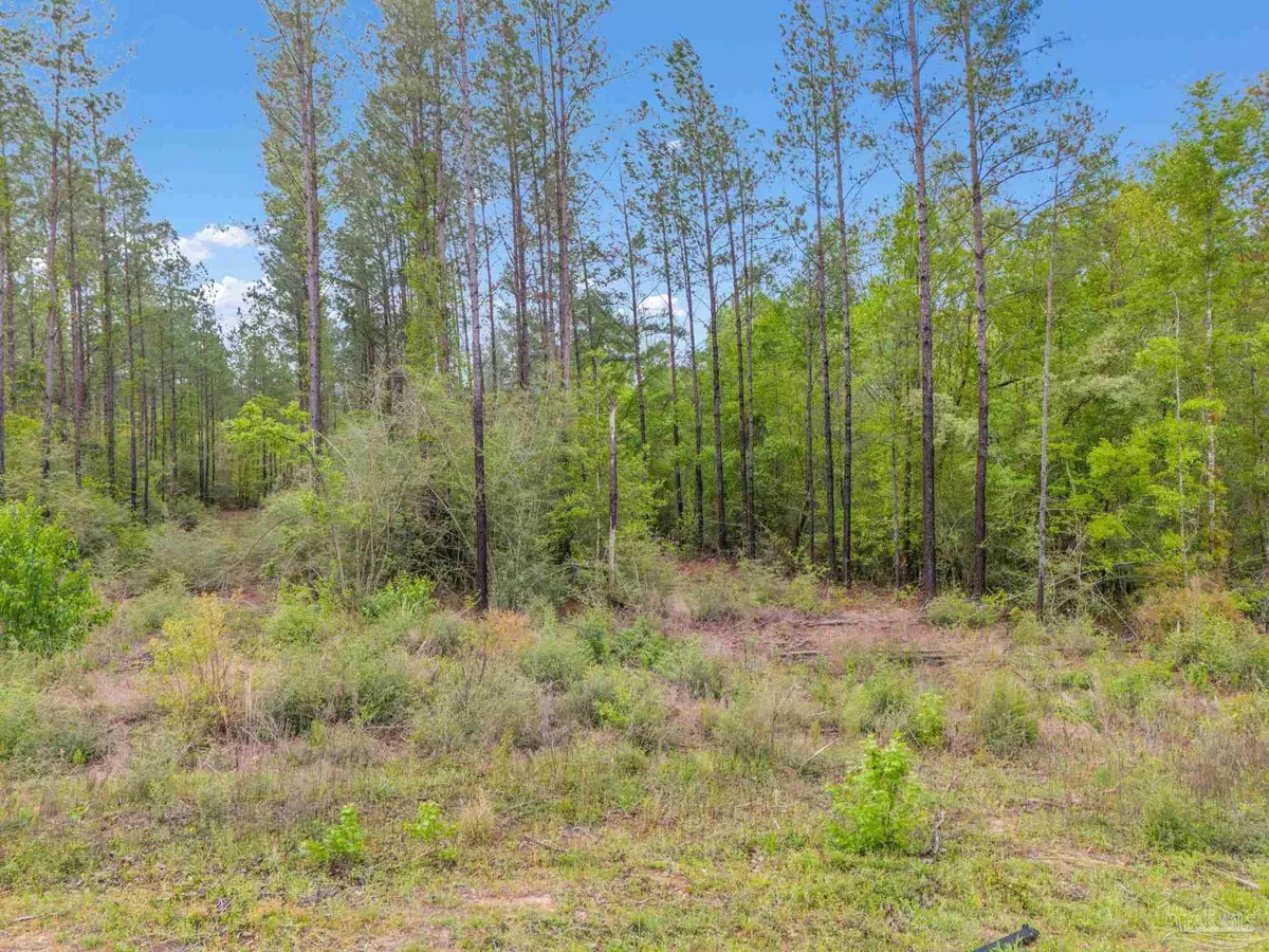 Jay, FL 32565,Lot 8 Mineral Springs Rd