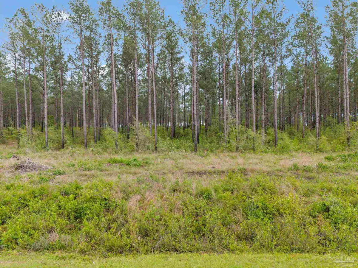 Jay, FL 32565,Lot 5 Mineral Springs Rd