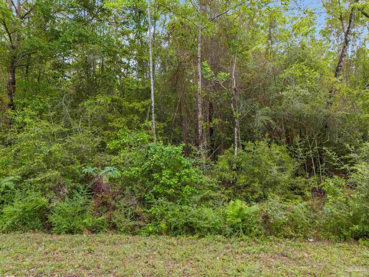 Jay, FL 32565,0001 Mineral Springs Rd