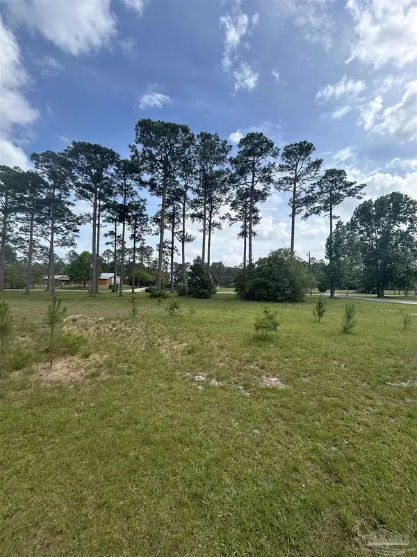 Milton, FL 32583,000 Virginia Ln