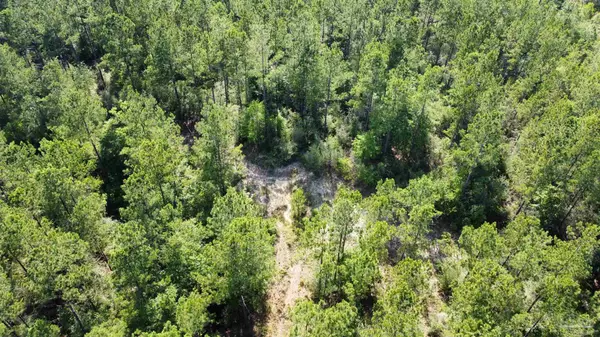 Pace, FL 32571,Lot 77 Cold Springs Dr