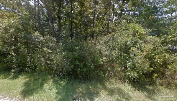 Milton, FL 32583,Lot 10 Blk A Grey Heron Dr