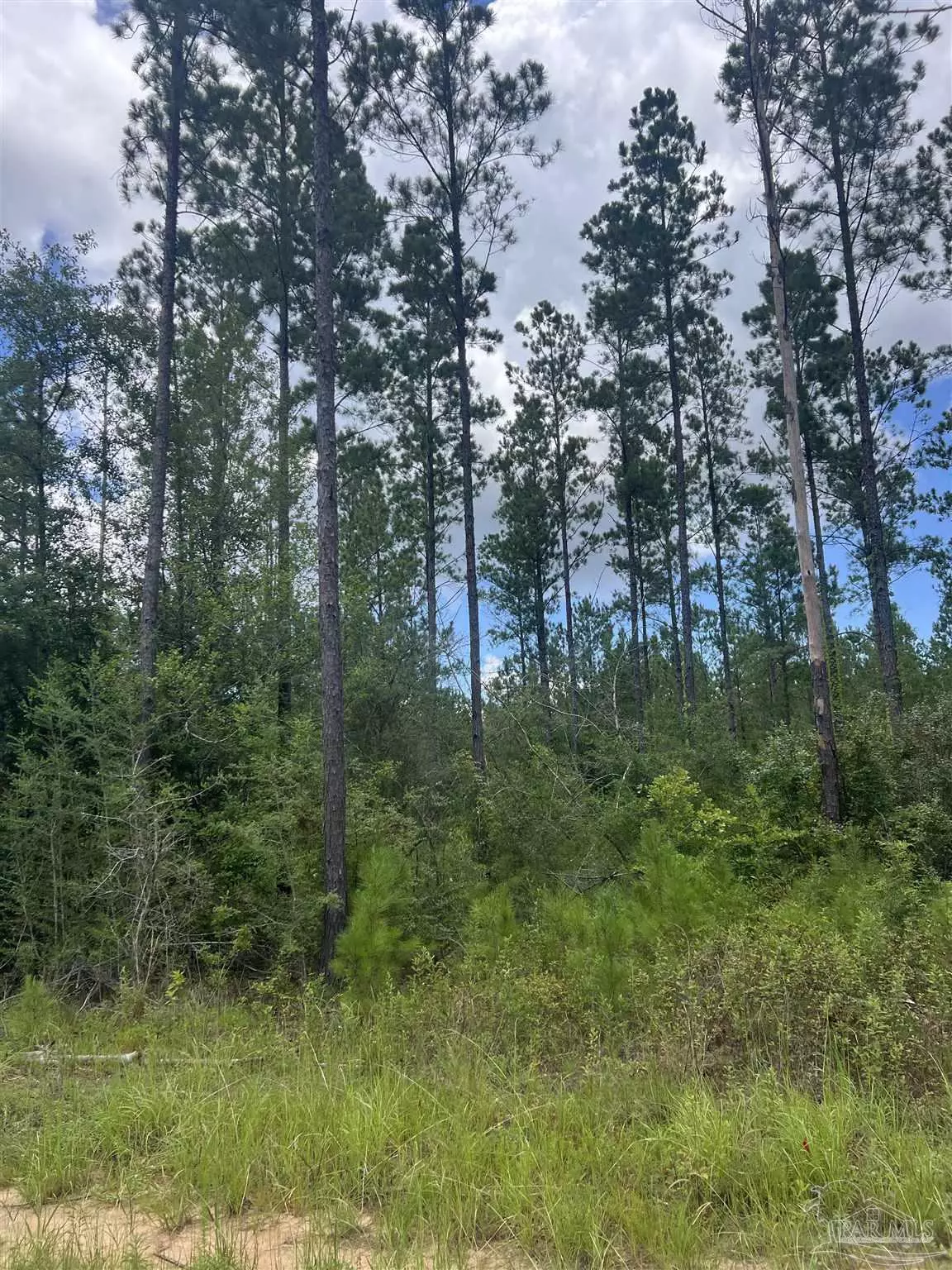 Pace, FL 32571,001 Sage Forest Ln