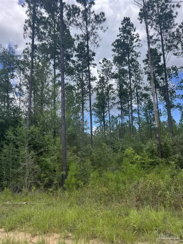 001 Sage Forest Ln, Pace, FL 32571