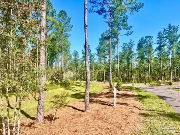 Pace, FL 32571,Lot 35 Naturewalk Dr