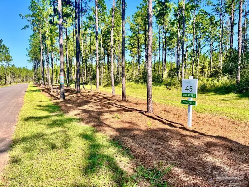 Lot 45 Naturewalk Dr, Pace, FL 32571