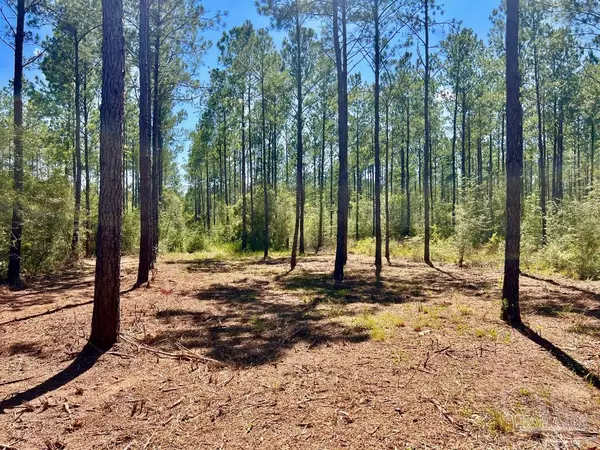 Pace, FL 32571,Lot 77 Naturewalk Dr