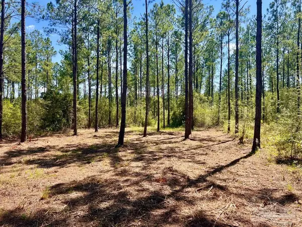 Pace, FL 32571,Lot 77 Naturewalk Dr