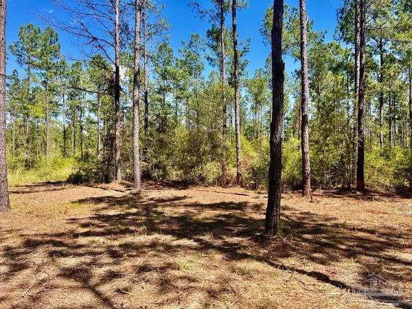 Pace, FL 32571,Lot 77 Naturewalk Dr