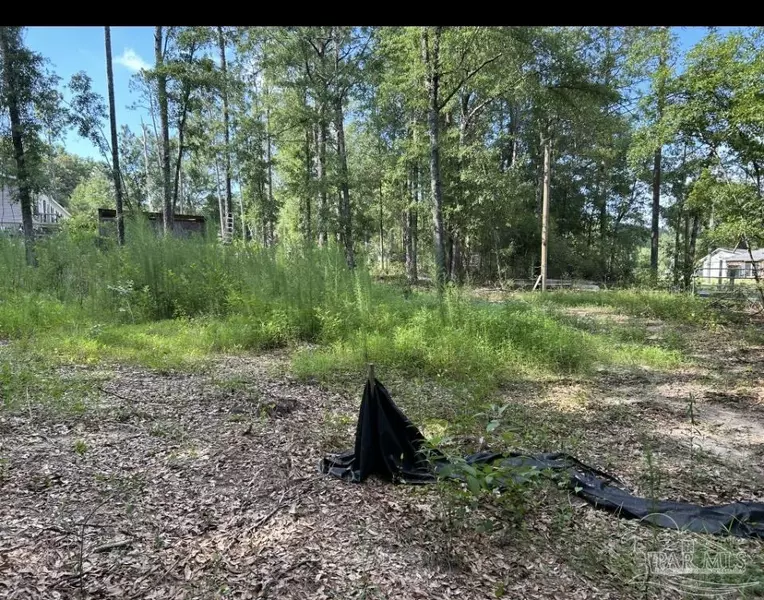 3109 Schifko Rd, Cantonment, FL 32533