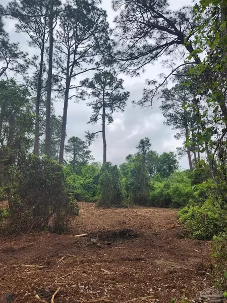 6.7 Acres Bankhead Rd, Pensacola, FL 32526