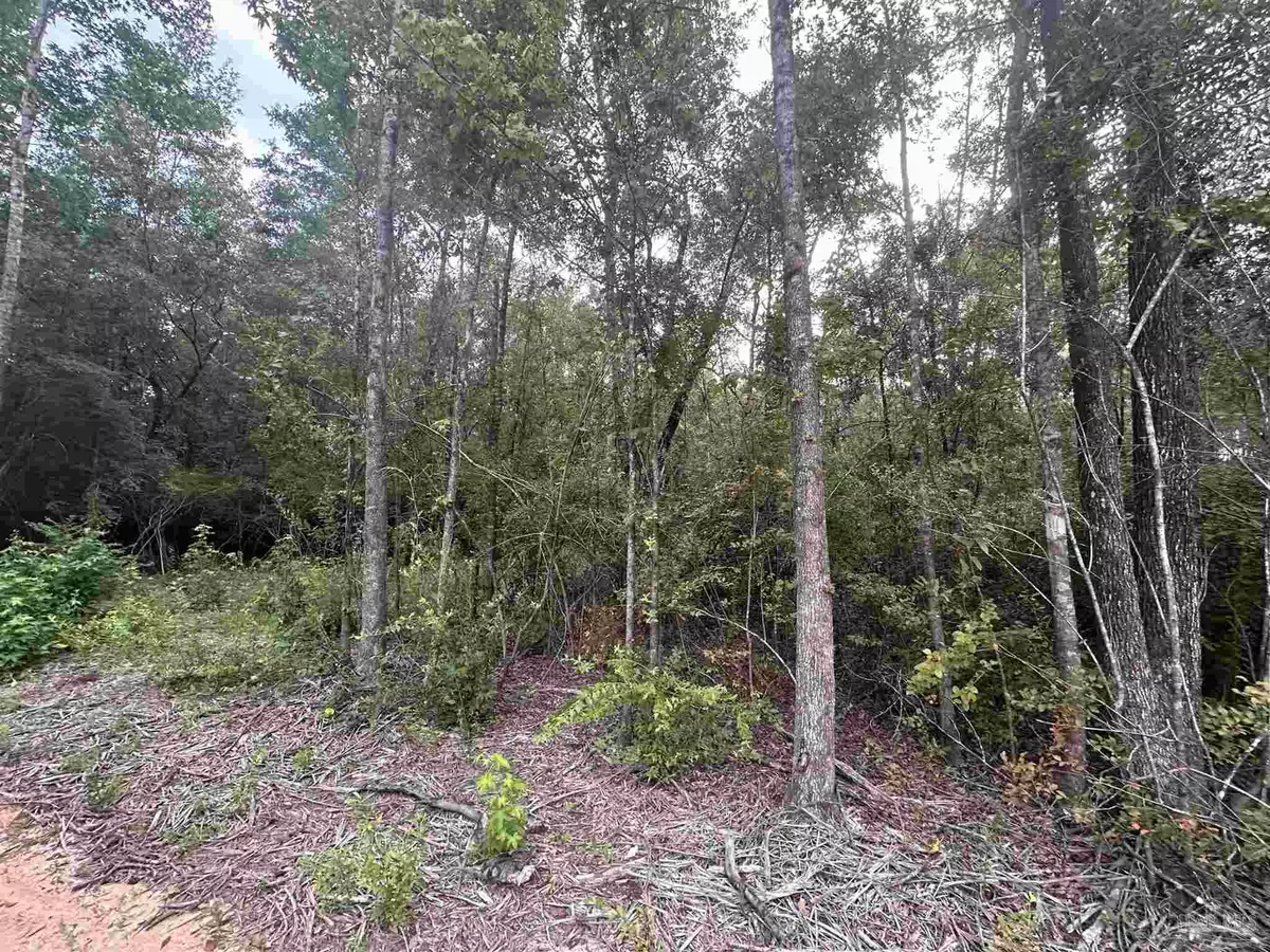 Milton, FL 32583,0000 Bailly Rd