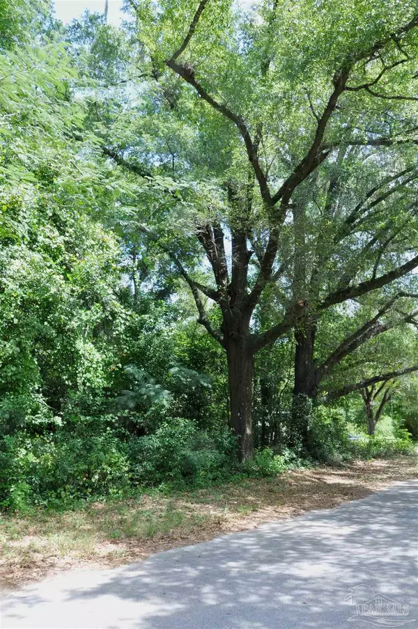 Bagdad, FL 32530,Limit St
