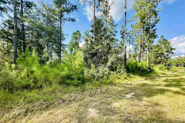 Pace, FL 32571,0000 Sage Forest Ln