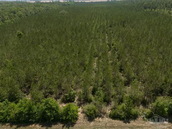 Jay, FL 32565,8 Bud Diamond Rd