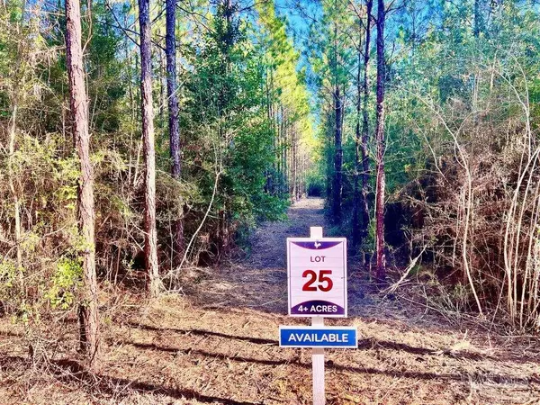 Jay, FL 32565,Lot 25 Hwy 89