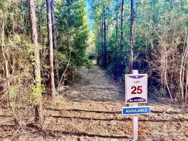 Jay, FL 32565,Lot 25 Hwy 89