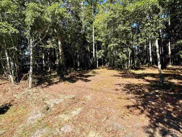 Milton, FL 32583,0000 Robinson Point Rd