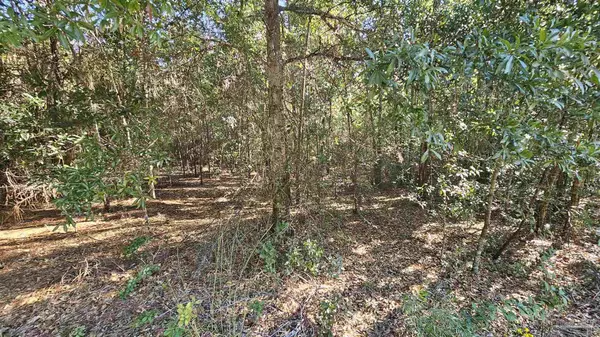 Milton, FL 32570,Lot 4 Colinas Verde Dr