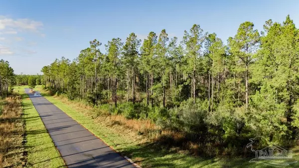 Pace, FL 32571,LOT 66 Sage Forest Ln