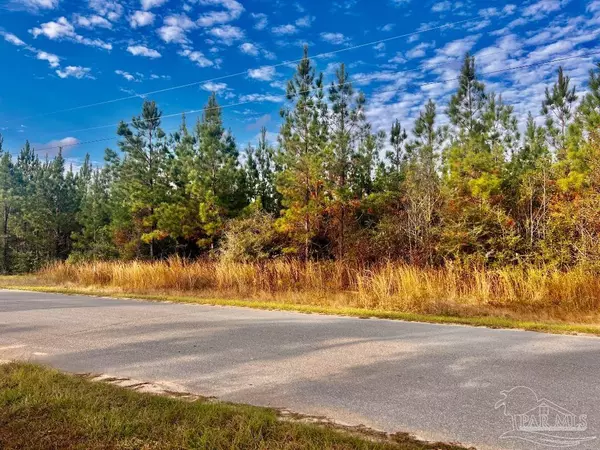 Pace, FL 32571,Lot 16 MBN Molino Bridge Rd