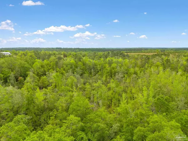 Jay, FL 32565,LOT 23 Mineral Springs Rd